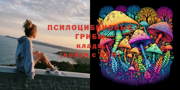 каннабис Алексеевка