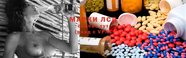 не бодяженный Алзамай