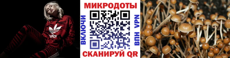 Псилоцибиновые грибы Psilocybe ссылка на мегу зеркало Гурьевск